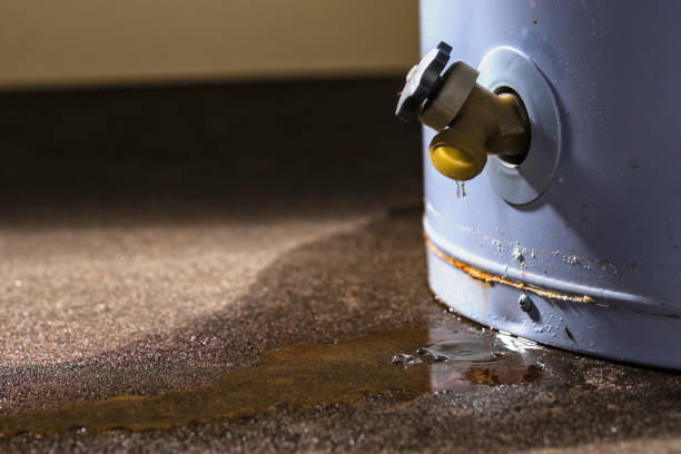 Best Water damage restoration near me  in Gridley, CA