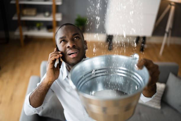 Best Professional water damage repair  in Gridley, CA