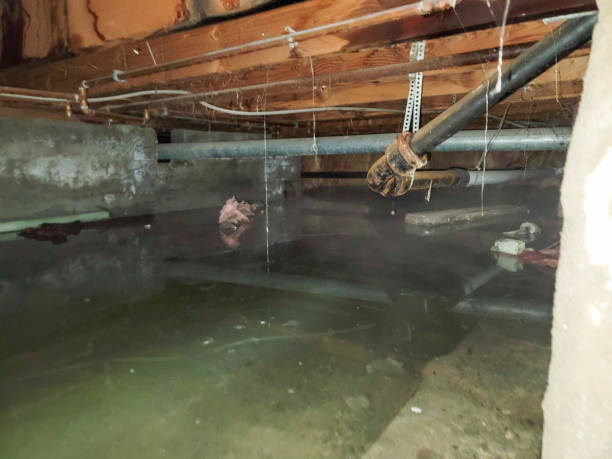 Local water damage restoration in Gridley, CA