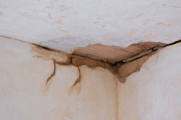 Best Local water damage restoration  in Gridley, CA