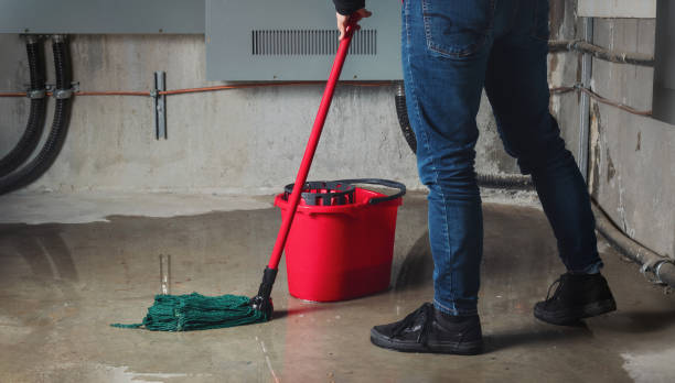 Best Water damage restoration near me  in Gridley, CA