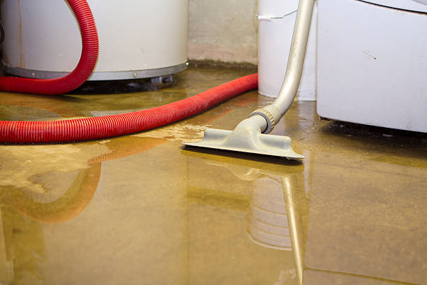 Best Carpet water damage restoration  in Gridley, CA