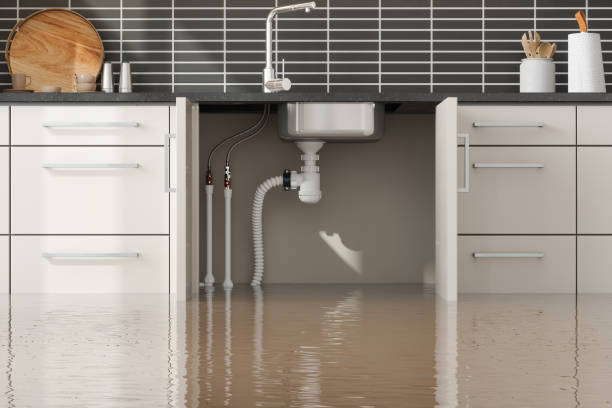 Best Basement water damage restoration  in Gridley, CA