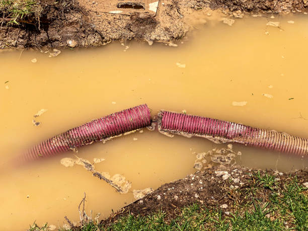 Best Flood damage cleanup  in Gridley, CA