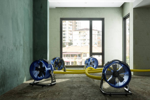 Best Commercial water damage restoration  in Gridley, CA